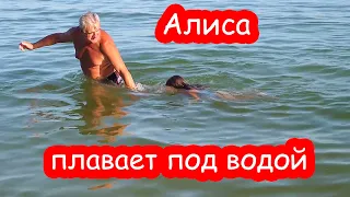 VLOG Решили не возвращаться на море