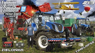 Finishing RED BEET harvest with NEW HOLLAND & DEWULF | Zielonka | Farming Simulator 22 | Episode 12