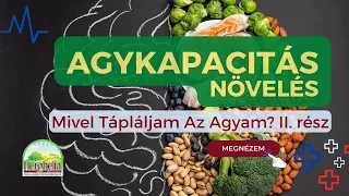 Agyi Teljesítmény Növelés Természetes Úton?  Mivel Tápláljam Az Agyam? II. rész #7