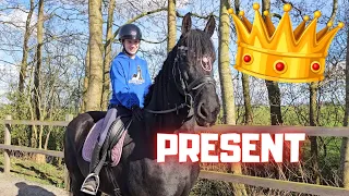 A gift for Queen👑Uniek, 10 days before she passed away | Friesian Horses