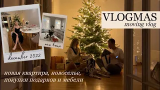 VLOGMAS: празднуем переезд в НОВУЮ КВАРТИРУ, покупаем подарки и мебель, украшаем ёлку