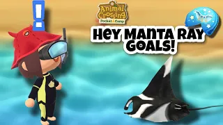 Hey Manta Ray Goals 🎣 (Opening Ione's Starry Cookie)  | Animal Crossing Pocket Camp