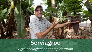 Serviagroc Guided Finca Tour - (NOT YET AVAILABLE TO THE PUBLIC)