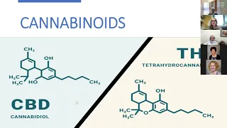 Introduction to Medical Cannabis by Dr. Stacy D'Andre