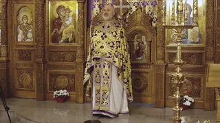 Duminica Sf. Cuvioase Maria Egipteanca, a 5-a din Postul Mare, pr. Dinu Pompiliu (05.04.2020)