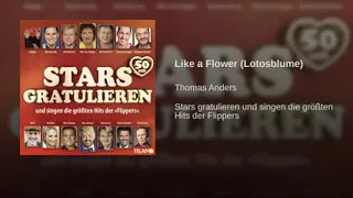 Thomas Anders   Like a Flower Lotosblume 2019