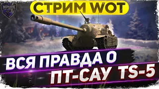 TS-5 - СТОИТ ЛИ ПОКУПАТЬ? Беру 3-ю отметку - WoT стрим