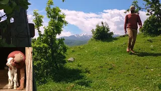 Medeniyetten uzak bir köyde mutluluğun gerçek yüzü. Köy hayatı. Happy life of lonely man#villagelife