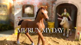 MURUN MYDAY