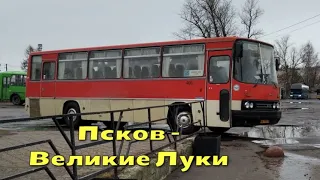Автобусная сенсация: Ikarus 256 на маршруте Псков – Великие Луки
