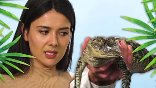 Patti Reviews Exotic Animals: Alligator