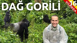 Dağ Gorillerini görmeye gidiyoruz - Uganda'ya efsane bitiriş (16. Bölüm)