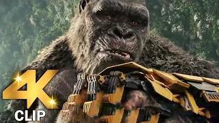 Kong Gets Beast Glove Scene | GODZILLA X KONG THE NEW EMPIRE (2024) Movie CLIP 4K