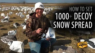 How to Set a 1000+ Decoy Snow Goose Spread