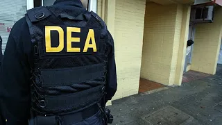 Boston 16: the dea bust and the acid