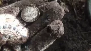 Поиск монет в лесу (август 2016)