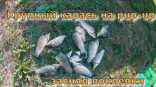 РЫБАЛКА на КАРАСЯ! Лучшая насадка на карася поп-ап