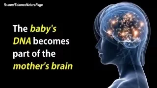 Baby's DNA in the mother's brain