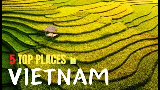 5 TOP PLACES in VIETNAM