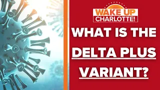 What is the delta plus variant of COVID-19?