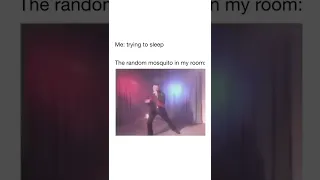 Mosquito in the Room When You're Trying to Sleep - Singer Meme