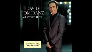 David Pomeranz - Until I Fall In Love Again (New Version)