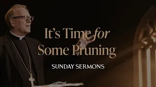 It’s Time for Some Pruning - Bishop Barron's Sunday Sermon