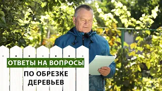 Ответы на ВОПРОСЫ подписчиков про ОБРЕЗКУ деревьев в саду