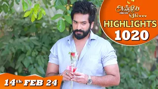 Anbe Vaa Serial | EP 1020 Highlights | 14th Feb 2024 | Virat | Shree Gopika |Saregama TV Shows Tamil