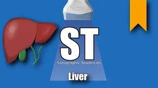 Liver Ultrasound Protocol