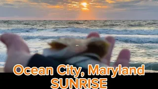 Waking up in the Ocean City SUNRISE | Sea Waves Sounds | Relaxing Sounds | Ohana Abode #979