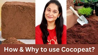 How to use coco peat in gardening | What is Coco Peat | Benefits of Coco Peat | #cocopeat #gardening