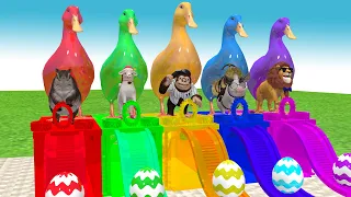 5 Giant Duck, Monkey, Piglet, chicken, dog, gorilla, cow, Sheep, Transfiguration funny animal 2024