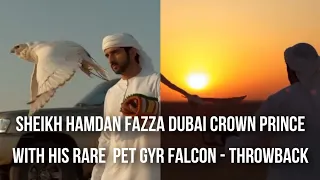 Sheikh Hamdan Fazza Dubai Crown Prince With His Rare Pet Gyr Falcon Throwback