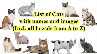 List of cats (all 100 breeds with names and images)