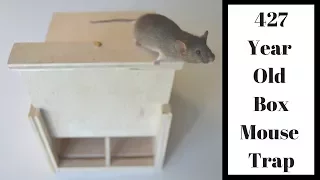 427 Year Old Style Mouse Trap In Action. Mascall Square Box Mouse Trap