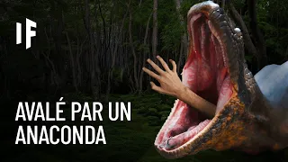 Et si un anaconda vous avalait ?