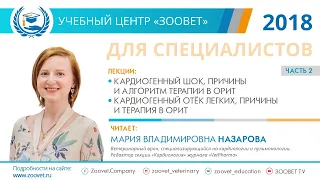 Назарова М. В. в УЦ «Зоовет» | ч. 2