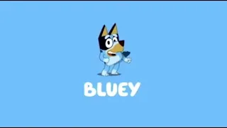 Pilot Bluey Intro 2016