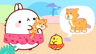 Molang 😀 PREMIER ⭐ The Saber Tooth Kitten 🐯 Cartoon for kids Kedoo ToonsTV