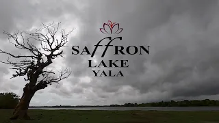 Welcome to Saffron Lake Yala | Where Serenity Meets Luxury