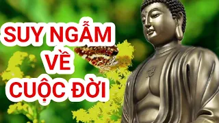 Suy ngẫm về lòng tham lam vô đáy của con người/suy ngẫm về cuộc đời/lời Phật dạy.