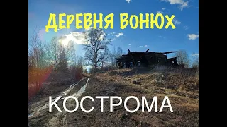 Заброшенная деревня в Кологривском районе. Здесь тоже мылись в печке. Костромская область