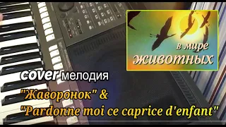 Жаворонок & Pardonne moi ce caprice d'enfant - cover by Артур Пикалов (Yamaha PSR-S770)
