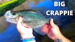 We used jigs and live bait for early season CRAPPIE
