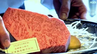 $102 Miyazaki Wagyu Beef Lunch - Gourmet Teppanyaki FUKUOKA JAPAN