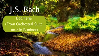 J.S. BACH - Badinerie (From Orchestral Suite no.2 in B minor)