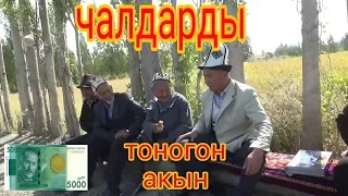 токмо акын чалдардын чонтогун кактады