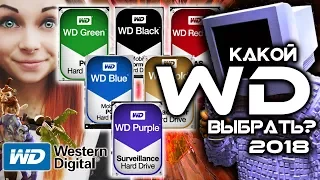 КАКОЙ WESTERN DIGITAL ВЫБРАТЬ? WD BLUE, WD RED, WD BLACK, WD GOLD, WD GREEN, WD PURPLE