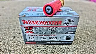 Winchester "SUPER X" Hollow Point 12 Gauge SHOTGUN SLUG! (Ballistics Gel Test)